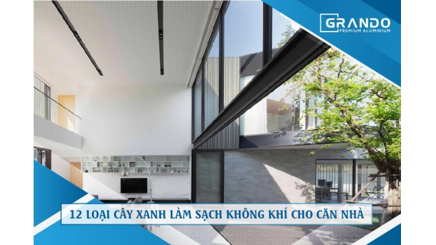 12 LOẠI CÂY XANH LÀM SẠCH KHÔNG KHÍ CHO CĂN NHÀ