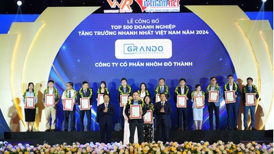 Grando tiếp tục ghi danh trong Top500 doanh nghiệp tăng trưởng nhanh nhất Việt Nam năm 2024
