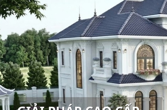 Bảo Lộc chiều buông – khi sắc vàng Champagne “hòa bản nhạc” cùng thiên nhiên